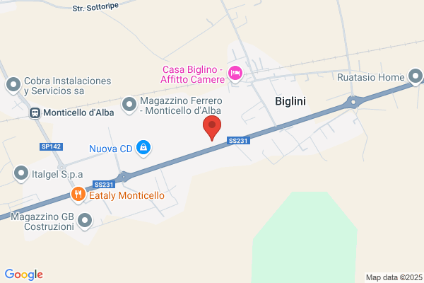 Alpi Service Snc