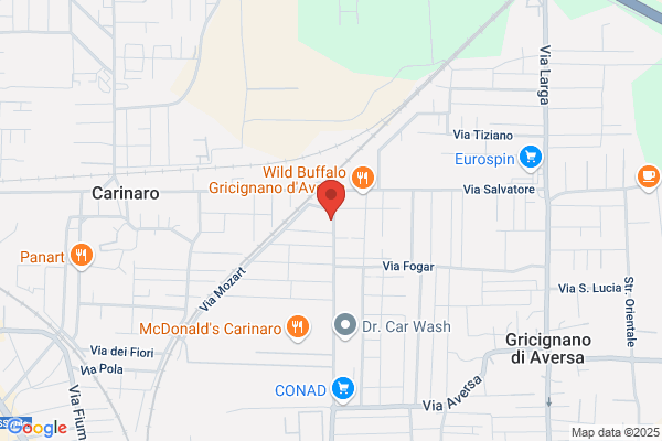 Fabozzi Roberto