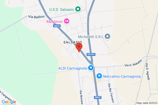 Salussoglia giorgio