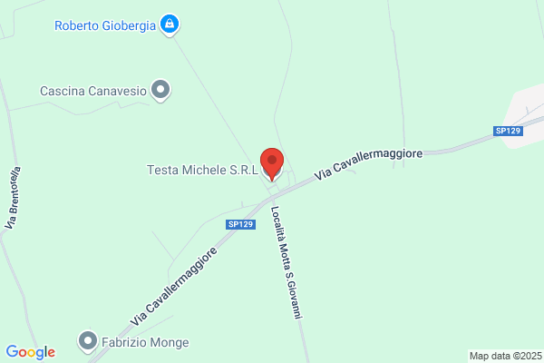 Testa michele