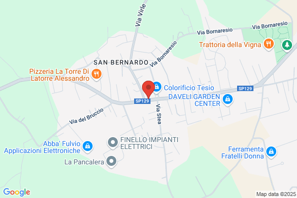 Minetti teresio (Dr.)