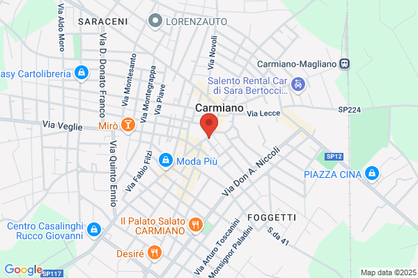 Scaramuzza vincenzo