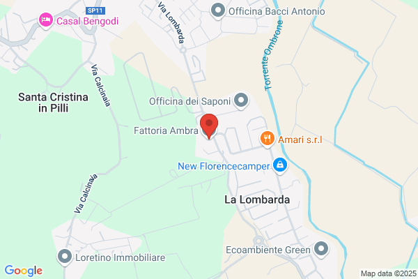 Fattoria Ambra
