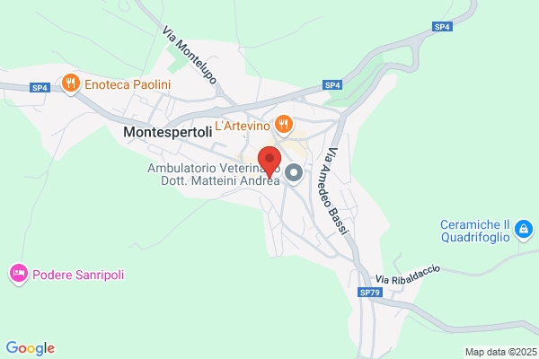 Martini alessandro