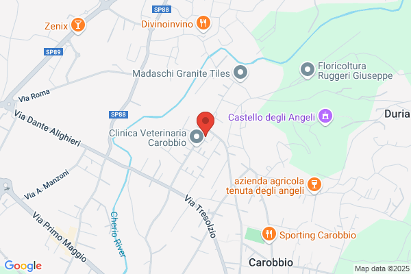Dpiù Supermercato Endine Gaiano