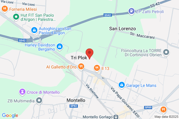 Autotrasporti Cambianica