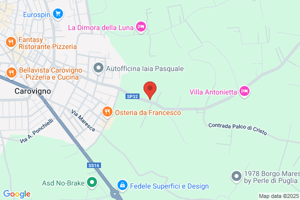 Carluccinfissi
