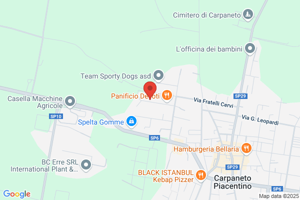 Simplex Srl
