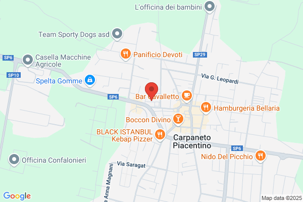 Viola Bazzali edvige