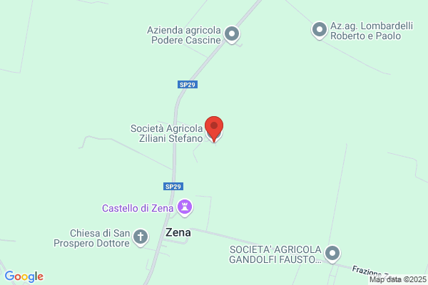 Ziliani gino