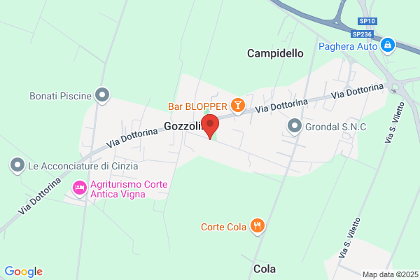 Goldoni Carlo (Dr.)