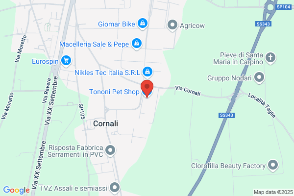 Parton Di Tononi E Parmigiani (S.N.C.)