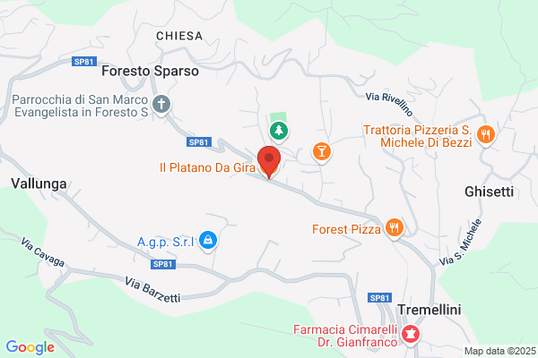 Trattoria Pizzeria Platano