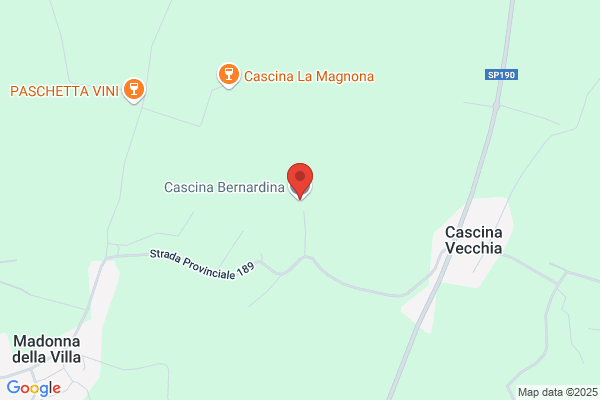 Paravidino ezio