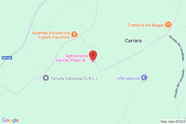 Prato enzo