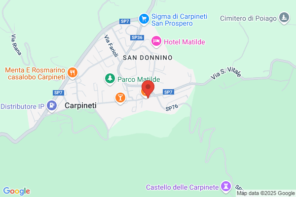 Montermini Sergio E C. S.R.L.
