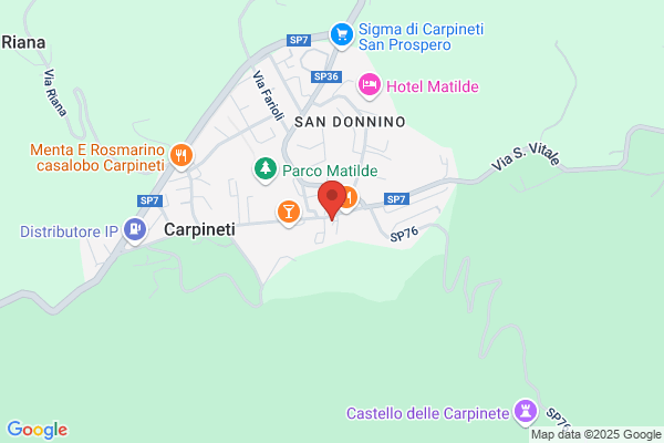 Picciati camillo