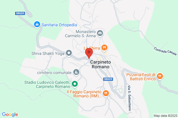 Spinella sergio (Dr.)