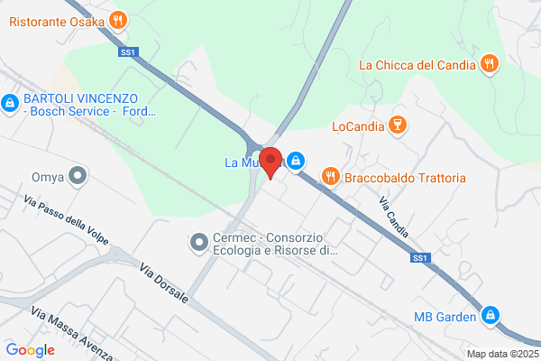 Accademia del Cybo