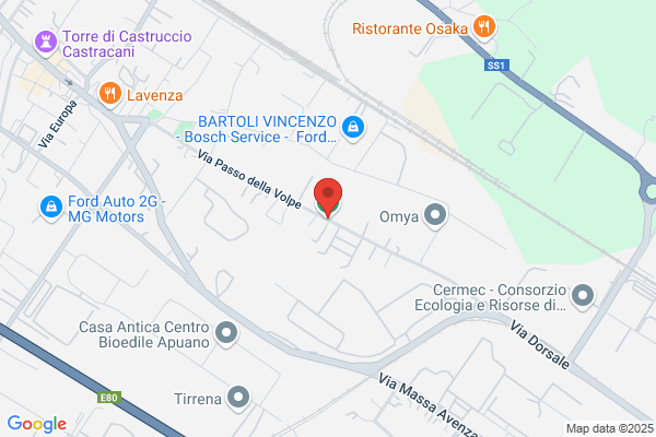 Palestra Atletic Club Carrara