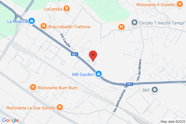 Associazione Dei Testimoni Di Geova Di Carrara