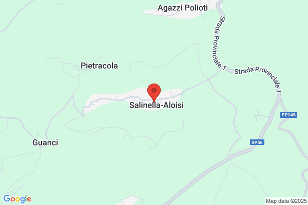 Salinelli massimo