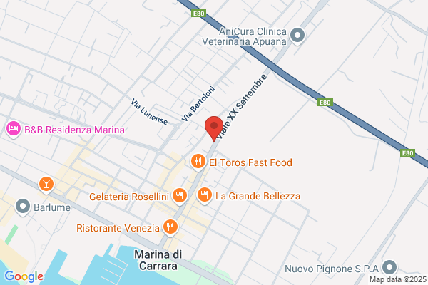 Vinazzani guido (Dr.)