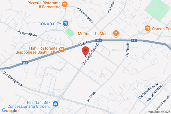 Nuova Massa Legnami Srl