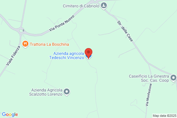 Tedeschi vincenzo