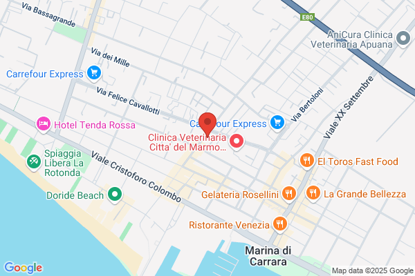 Maggiani Costruzioni Srl
