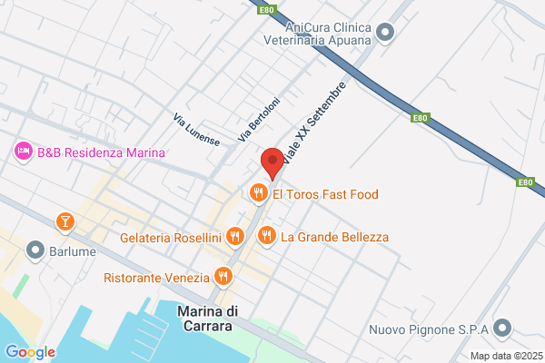 El.Sa. Elaborazione E Servizi Aziendali - Massa Srl