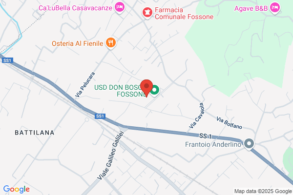 Fontanini Egisto (Dr.)