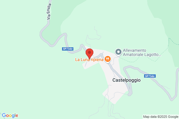 Partigliani italo