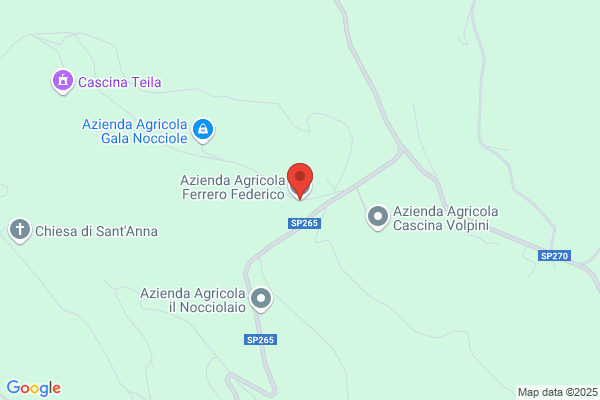 Ferrero Domenico