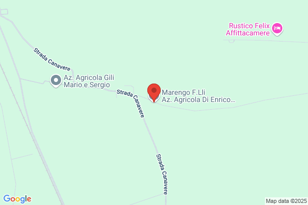 Marengo Battista