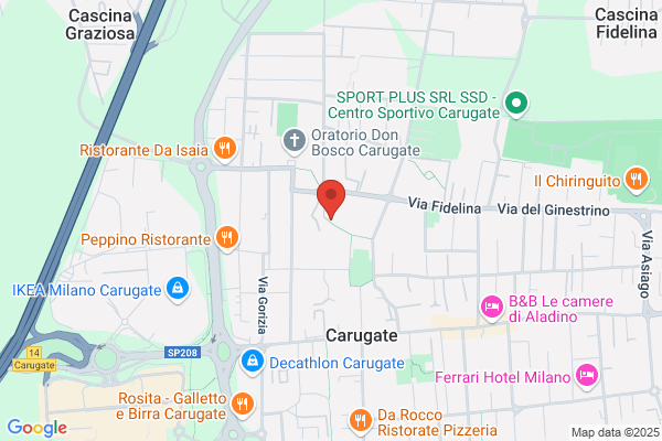 Falzotti Elio