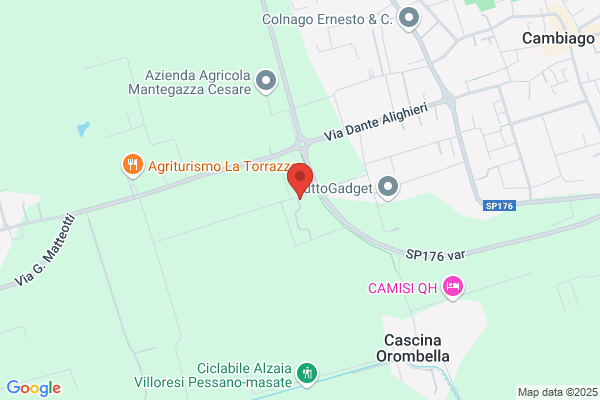 Mapelli carlo