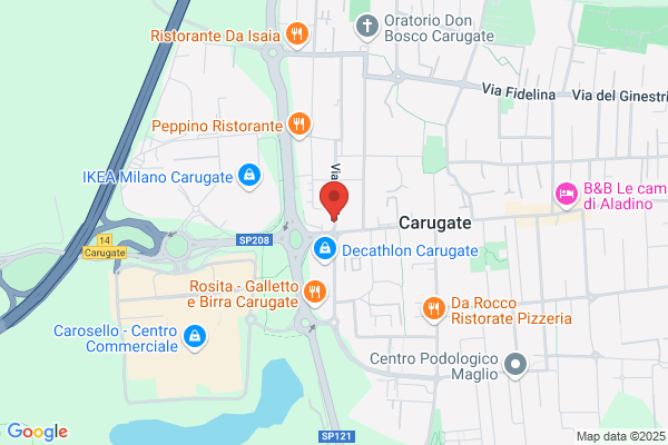 Linea Servizi Srl