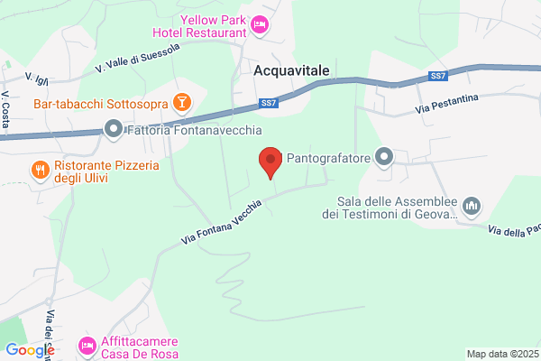 Service Group Caiazzo Sas