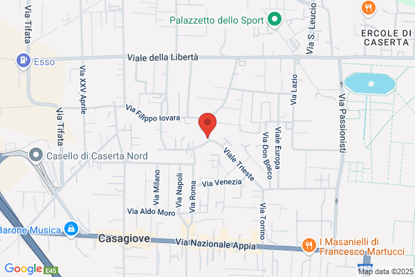 Momis Computer Srl