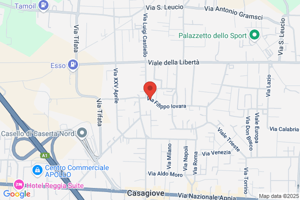 Gulli Nicola