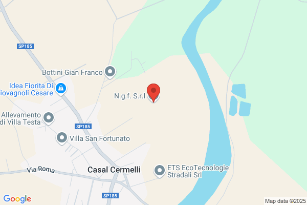 N.G.F. Di Nizzo Teresio & C. Sas