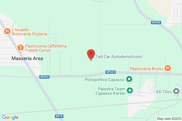 Ted Car Autodemolizioni