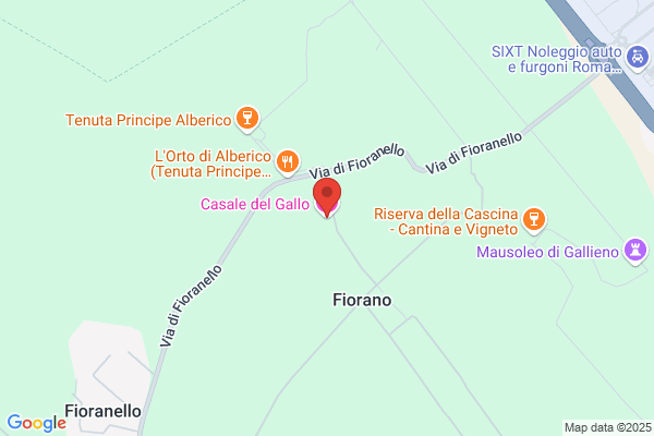 Gallo Caterina