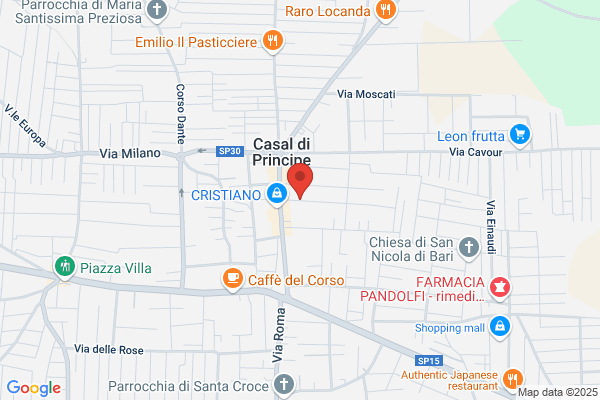Natale camillo