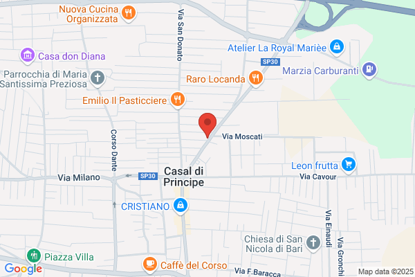 Reccia aldo (Rag.)