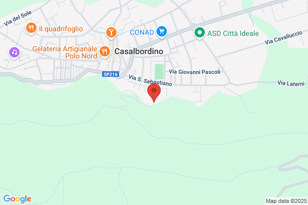 Istituto Geriatrico  Domus Pacis  - r.S.A.