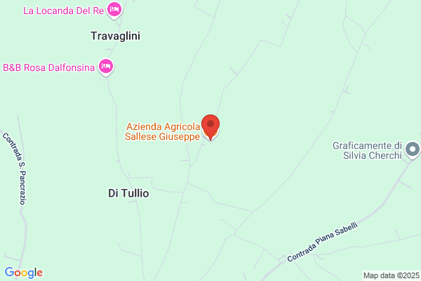 Sallese giuseppe