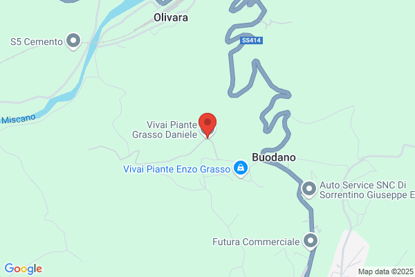 Vivai Grasso Enzo
