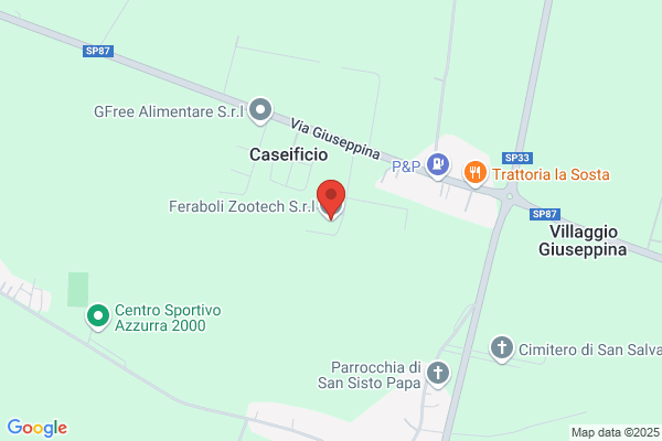 Feraboli Gino